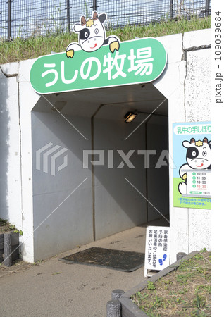 マザー牧場のうしの牧場入口 マザー牧場のうしの牧場入口 109039684