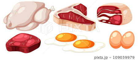 Assorted Protein Foods for a Healthy Diet 109039979