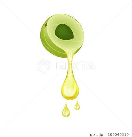 Oil drop from fresh indian gooseberry or Amla fruit. Medicinal fruit It is very rich in Vitamin C and contains many minerals. Medical concept. Realistic 3D vector. Isolated on white background. 109040310