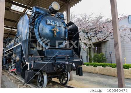 東京 北区 桜が満開の飛鳥山公園(蒸気機関車 D51) 東京 北区 桜が満開の飛鳥山公園(蒸気機関車 D51) 109040472