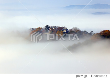 天空の山城7360 109040863