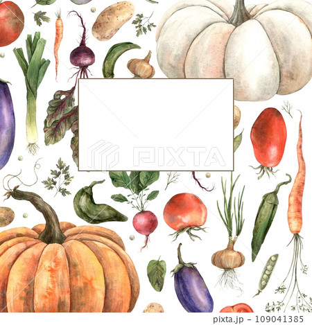 Watercolor composition of vegetables, pumpkin, eggplant, onions, beets, peppers, radishes, dill, carrots, peas, potatoes, parsley, spinach. Square background for text. Use in graphic and printing desi 109041385
