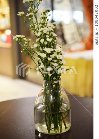 gypso cutter flowers in glass on the wooden table gypso cutter flowers in glass on the wooden table 109042002