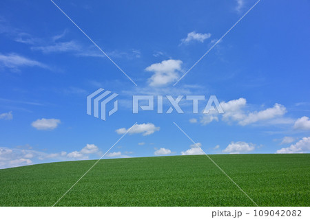 美瑛の丘の景色 美瑛の丘の景色 109042082