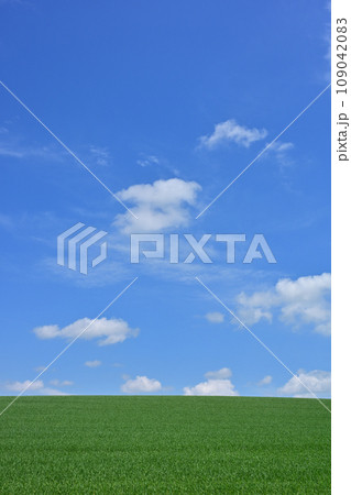 美瑛の丘の景色 美瑛の丘の景色 109042083