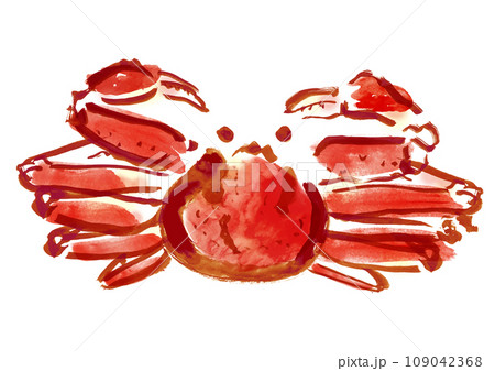 ズワイガニ和風手描きイラスト ズワイガニ和風手描きイラスト 109042368