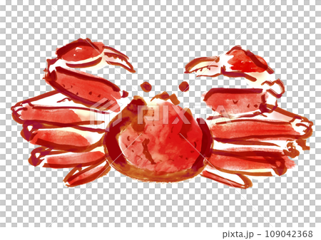ズワイガニ和風手描きイラスト ズワイガニ和風手描きイラスト 109042368