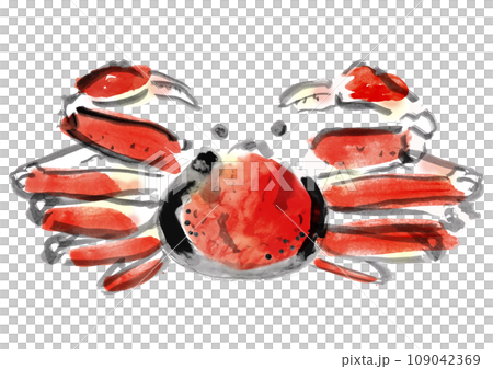 ズワイガニ和風手描きイラスト ズワイガニ和風手描きイラスト 109042369