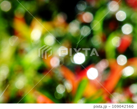 colorful abstract pattern natural bokeh background colorful abstract pattern natural bokeh background 109042560