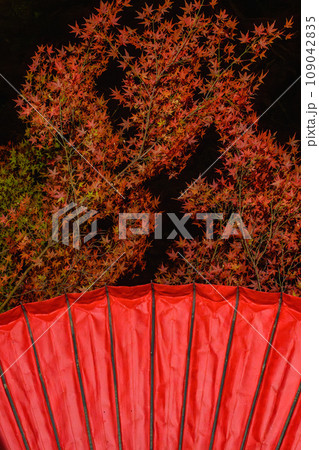 紅葉の庭園 三十路苑 長崎県雲仙市 紅葉の庭園 三十路苑 長崎県雲仙市 109042835