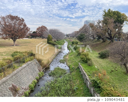 橋から見た小川 橋から見た小川 109043481