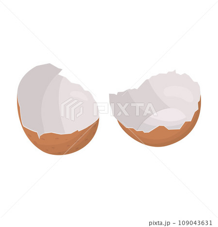 Eggshell. Vector illustration on a white background 109043631
