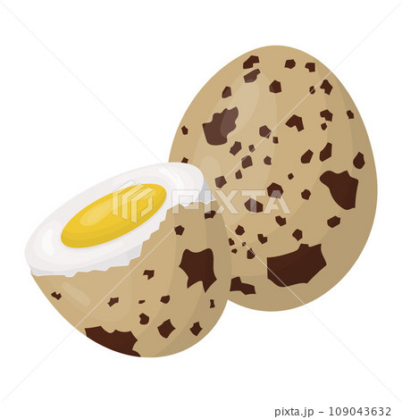 quail eggs. Boiled eggs in a shell. Vector illustration quail eggs. Boiled eggs in a shell. Vector illustration 109043632