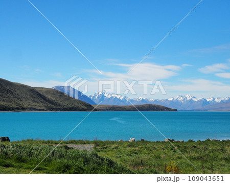 テカポ湖の春景色 テカポ湖の春景色 109043651