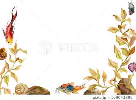 Hand drawn watercolor aquarium fish, algae and sealife. Marine exotic underwater illustration. Isolated on white background. Frame border. Design for shops, brochure, print, card, wall art, textile. 109043896