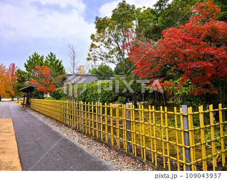 道の駅人吉 人吉クラフトパーク石野公園 紅葉の頃 道の駅人吉 人吉クラフトパーク石野公園 紅葉の頃 109043937