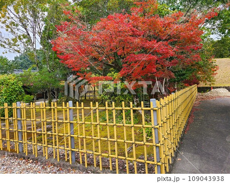 道の駅人吉　人吉クラフトパーク石野公園　紅葉の頃 109043938