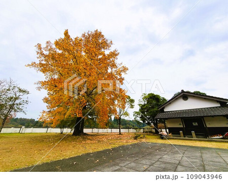 道の駅人吉 人吉クラフトパーク石野公園 紅葉の頃 道の駅人吉 人吉クラフトパーク石野公園 紅葉の頃 109043946