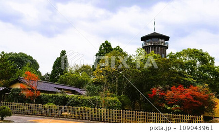 道の駅人吉　人吉クラフトパーク石野公園　紅葉の頃 109043961