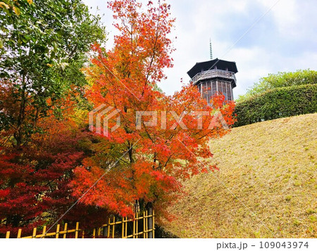 道の駅人吉　人吉クラフトパーク石野公園　紅葉の頃 109043974