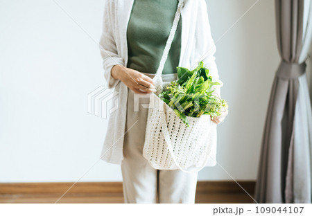Woman holding mesh shopping bag with fresh vegetables,No plastic bag,Zero waste,Environmental friendly,Healthy green Woman holding mesh shopping bag with fresh vegetables,No plastic bag,Zero waste,Environmental friendly,Healthy green 109044107