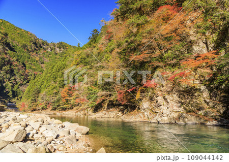 香落渓の紅葉 香落渓の紅葉 109044142