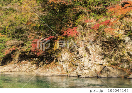 香落渓の紅葉 香落渓の紅葉 109044143