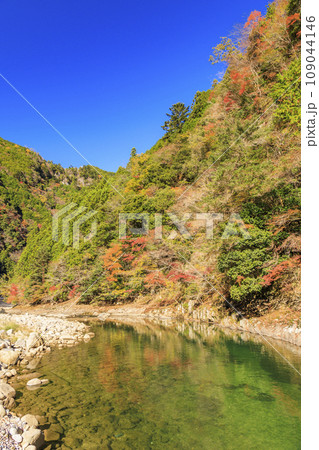 香落渓の紅葉 香落渓の紅葉 109044146