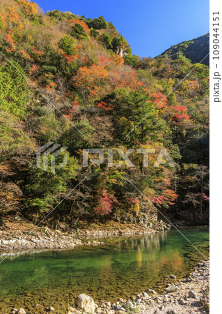 香落渓の紅葉 香落渓の紅葉 109044151