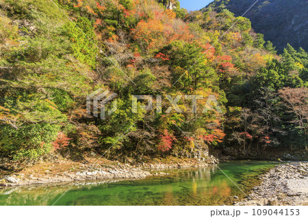 香落渓の紅葉 109044153