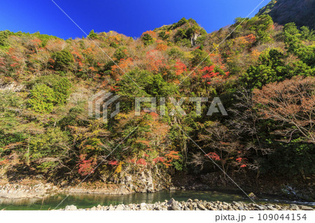 香落渓の紅葉 109044154