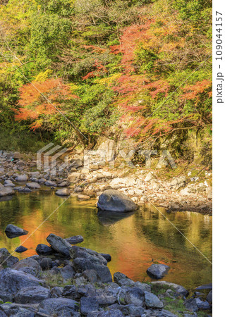 香落渓の紅葉 109044157