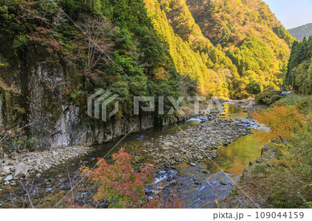 香落渓の紅葉 109044159