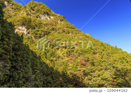 香落渓の紅葉 香落渓の紅葉 109044162
