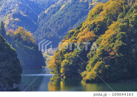 香落渓の紅葉 109044163