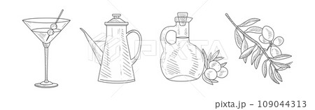 Olive Fresh and Ripe Organic Product Hand Drawn Vector Set 109044313