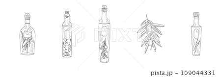 Olive Fresh and Ripe Organic Product Hand Drawn Vector Set Olive Fresh and Ripe Organic Product Hand Drawn Vector Set 109044331