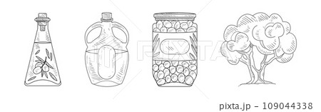 Olive Fresh and Ripe Organic Product Hand Drawn Vector Set 109044338
