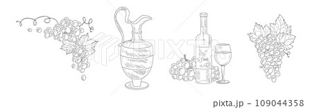 Wine Sketch Element with Jug, Bottle and Grape Vector Set 109044358