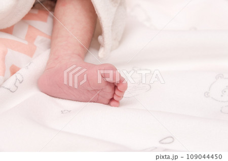 【新生児の赤ちゃん 足の裏】 【新生児の赤ちゃん 足の裏】 109044450