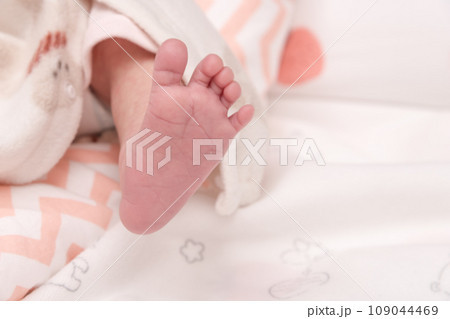 【新生児の赤ちゃん 足の裏】 【新生児の赤ちゃん 足の裏】 109044469