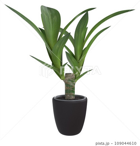 green saplings growing in the clay pot 109044610