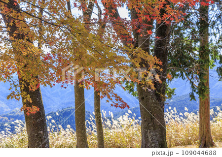 秋の屏風岩公苑 109044688