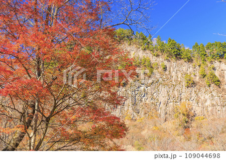 秋の屏風岩公苑 秋の屏風岩公苑 109044698