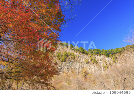 秋の屏風岩公苑 109044699