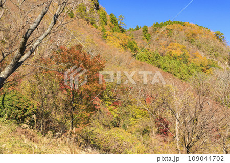 秋の屏風岩公苑 109044702
