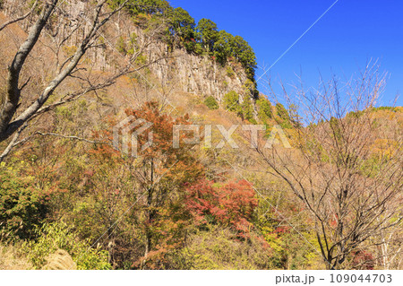 秋の屏風岩公苑 109044703