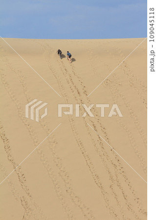 鳥取砂丘馬の背の急斜面を登るカップル 鳥取砂丘馬の背の急斜面を登るカップル 109045118