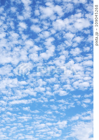 冬の空 青空 イメージ 【神奈川県 藤沢市】 冬の空 青空 イメージ 【神奈川県 藤沢市】 109045268