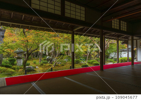 圓光寺 書院から眺める紅葉の十牛之庭 圓光寺 書院から眺める紅葉の十牛之庭 109045677